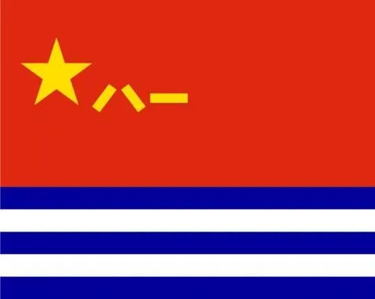 【中國軍旗】我國陸海空軍種旗樣式與含義  第5張