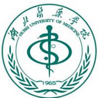 湖北醫藥學院logo含義是什么