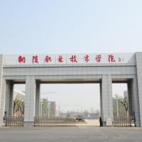 銅陵職業技術學院logo含義是什么